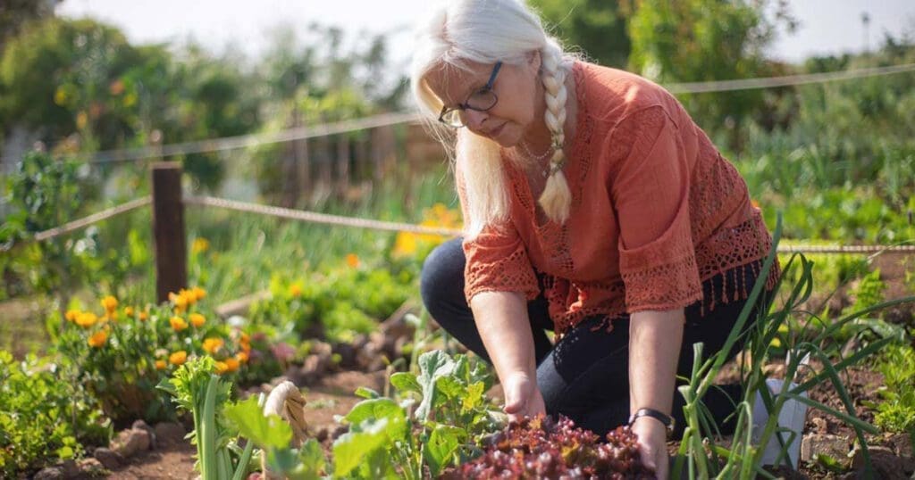 An older women on her knees gardening in her garden