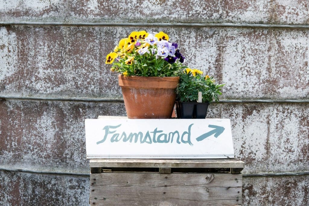A handmade "Farmstead" sign with two pots of flower behind it. There is an arrow pointing to the stand which is not in frame.