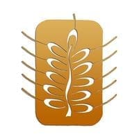 author California Straw Building Association