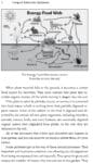Compost Science for Gardeners: Diagram of the energy food web cycling carbon via composting.