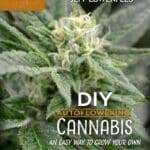 Close-up of DIY Autoflowering Cannabis on the cover of a growing guide book.