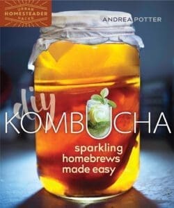 A jar of kombucha with a cloth lid on the "DIY Kombucha" book cover.