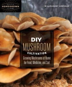 Close-up of brown mushrooms with "DIY Mushroom Cultivation" text on the image.