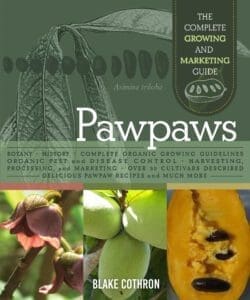 Book cover shows pawpaw fruits, flowers, and the title “Pawpaws” by Blake Cothron.