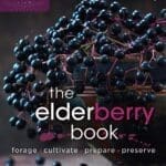 A bowl of elderberries, cover of "The Elderberry Book" by John Moody.