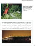 Greenhouse at night lit up, veggies growing, with lighting tips from The Winter Market Gardener.