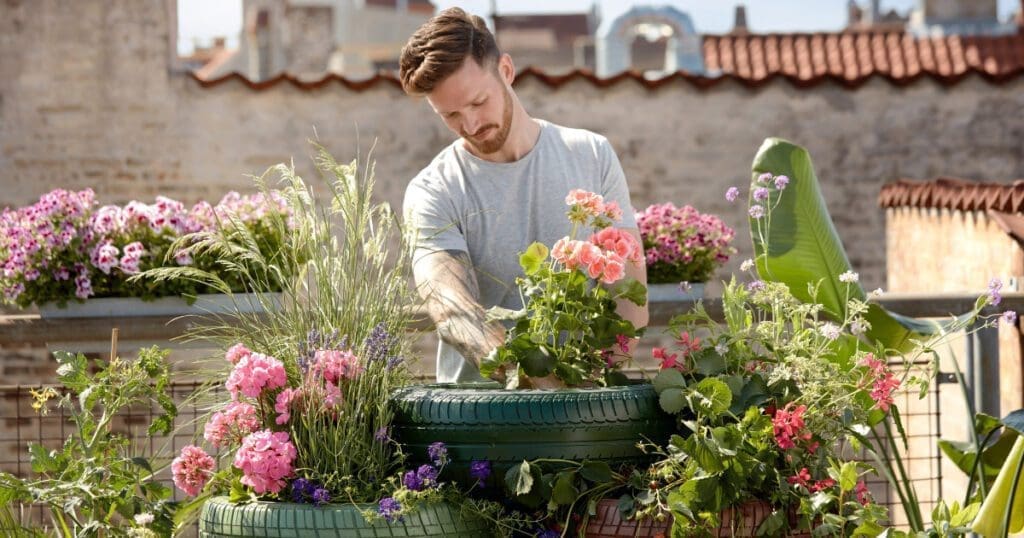 A young man tends to a flower garden.