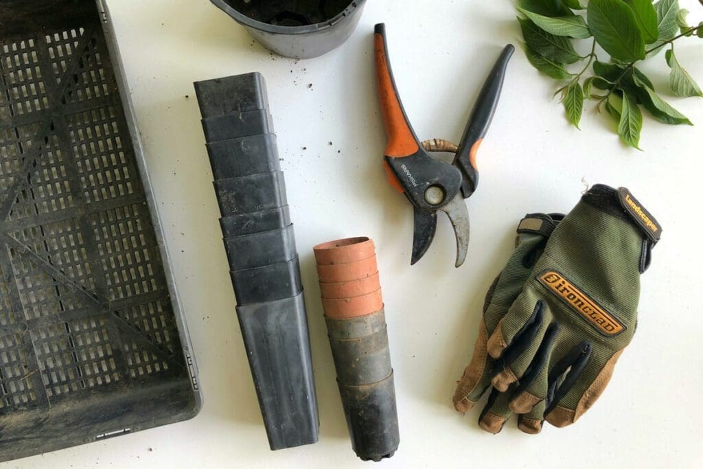 A selection of garden tools, pots and trays