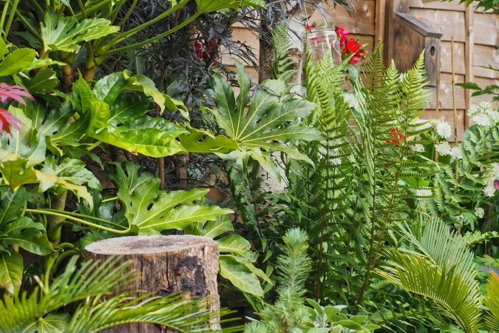 close up of leaves and a stump in a garden