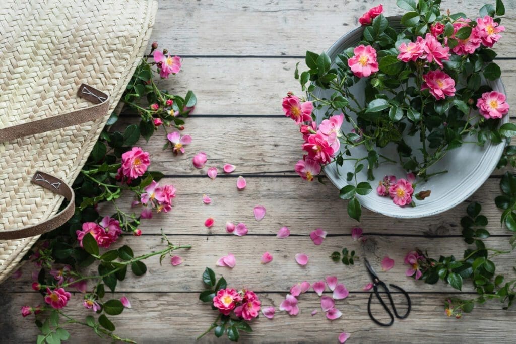 Pink flowers coming out of a bag and in a bowl