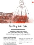 Someone puts tomato seedlings into pots on a table with trays of small plants.