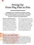A guide on potting up tomato seedlings from plug flats to pots, with step-by-step instructions.