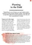 A guide page with planting tips and field advice for growing Tomatoes.