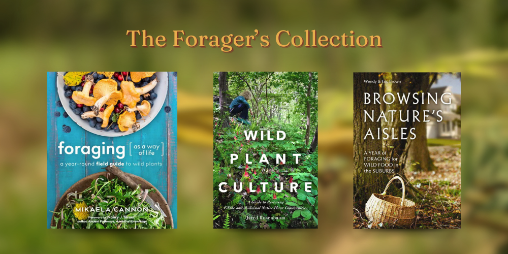 Three foraging books displayed against a blurred forest backdrop make for perfect eco-friendly presents. Ideal for those who cherish nature, these books can become a thoughtful addition to your conscious gifting repertoire, merging knowledge with sustainability effortlessly.