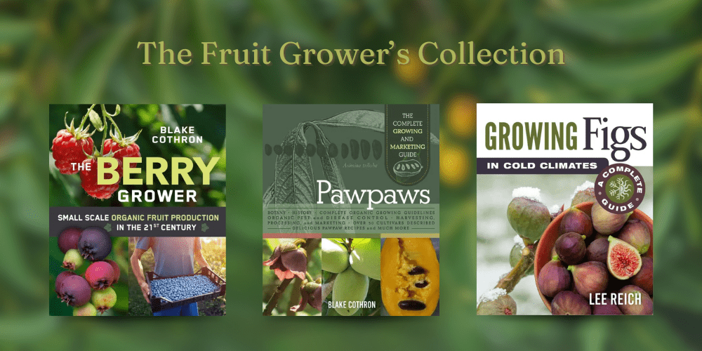 Three fruit-growing guidebooks with colorful covers, perfect for conscious gifting or as eco-friendly presents.