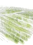 Illustration of a person walking through green fields of Root Vegetables.