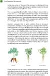 Root Vegetables: Discover a variety of roots and their unique qualities.