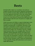 A green poster on Root Vegetables, featuring sea beets and their culinary uses.