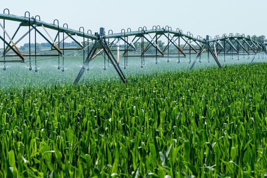 The irrigation system nurtures a lush green cornfield under a clear sky, promoting a healthy food system that benefits both people and the planet.