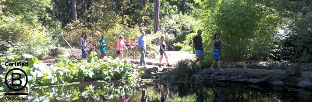 Seven people walk in a line along a pond in a lush, sustainable wooded park on a sunny day.