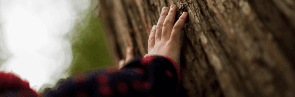 A child’s hand touches rough bark—a scene from The Book of Nature Connection by Jacob Rodenburg.
