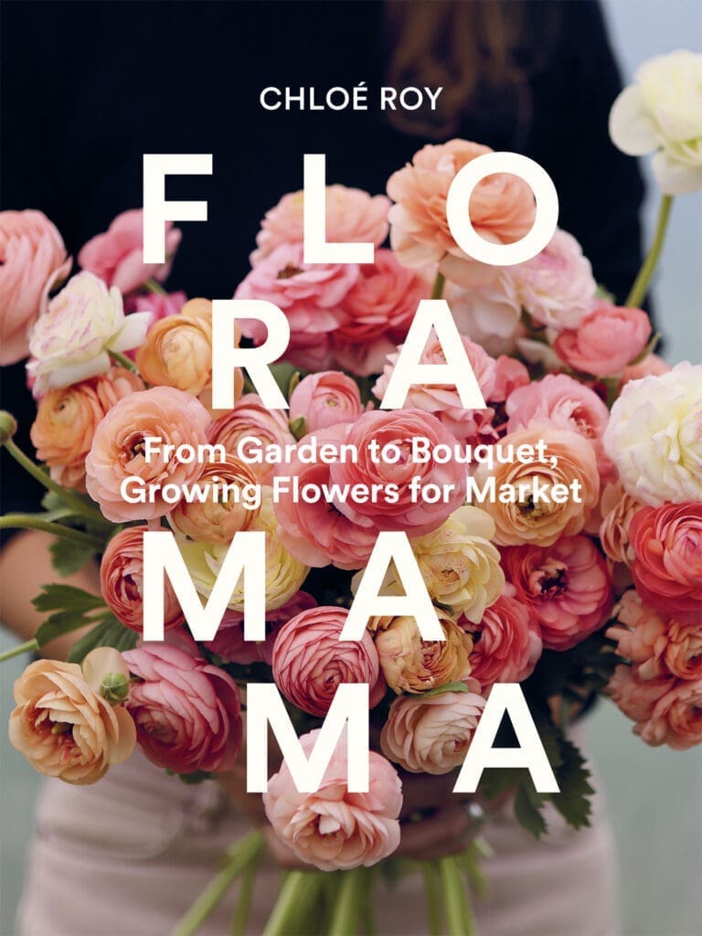 Person holding a large bouquet of Floramama pink and peach ranunculus flowers with text overlay.