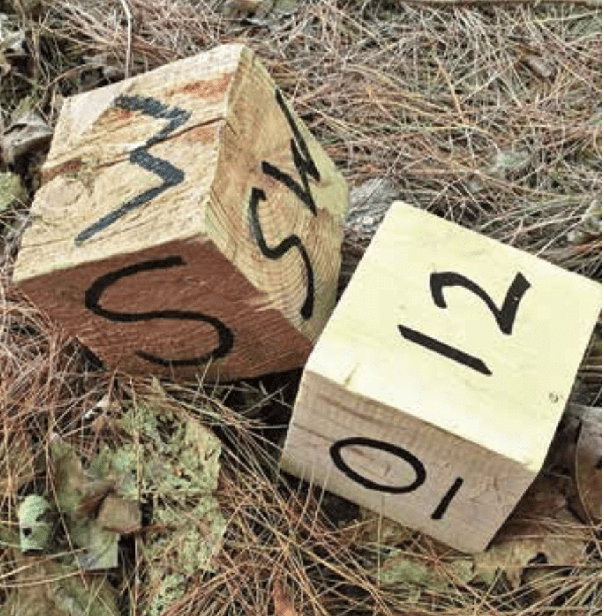 Two wooden cubes with compass directions and numbers—a fun activity for kids learning through play.