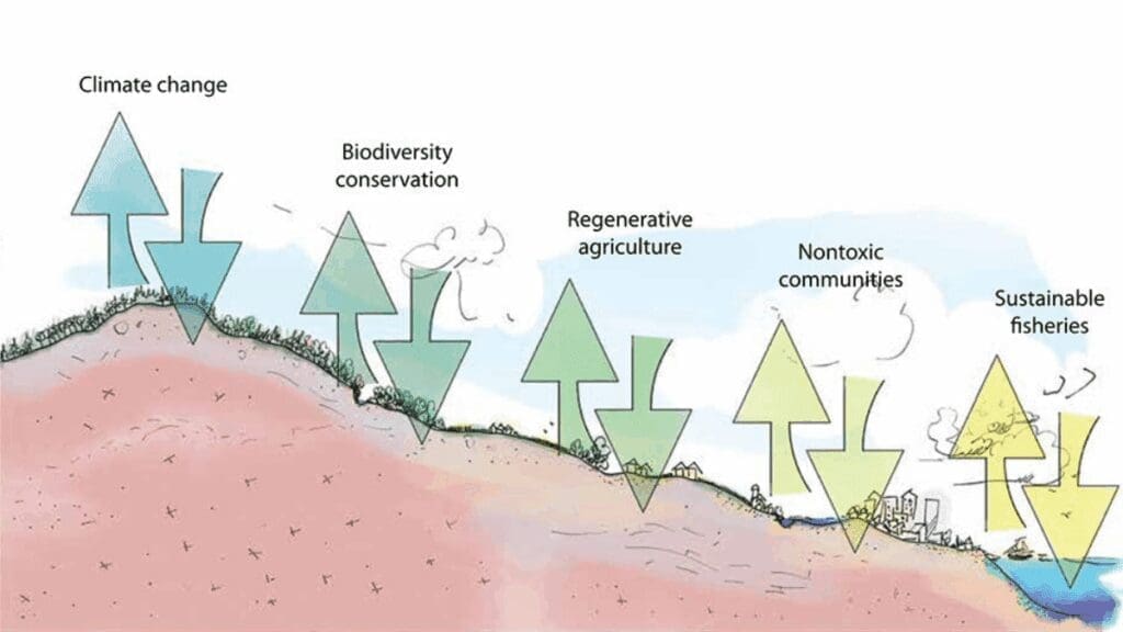 Illustration with arrows showing impacts: Edible Ecosystems, climate change, communities, fisheries.
