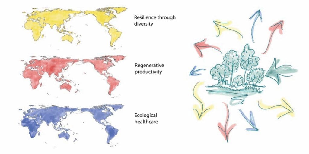 Three world maps labeled diversity, productivity, healthcare; arrows point to edible ecosystems.