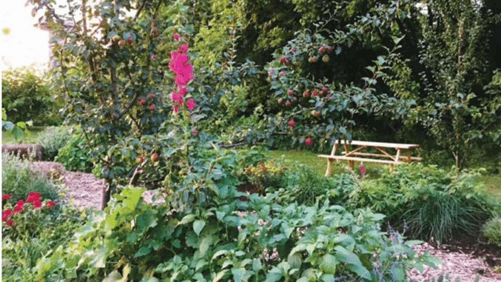A lush garden with fruit trees, flowers, and an edible ecosystem for a resilient future.