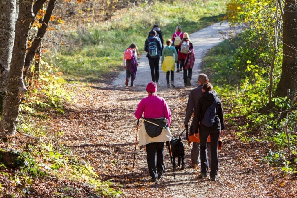 A group of people hike on a forest trail, embracing the spirit of Collective Liberation.