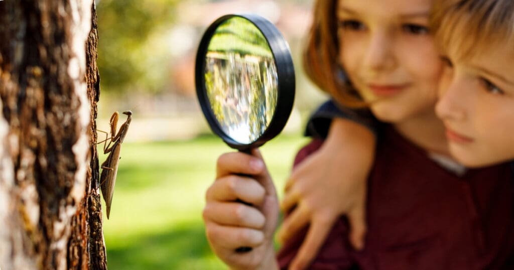 Two children share kinship as they use a magnifying glass to observe a praying mantis on a tree trunk.