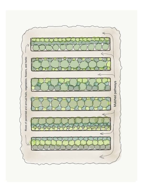 Garden beds in an edible yard with arrows showing mulched pathways between green plants.