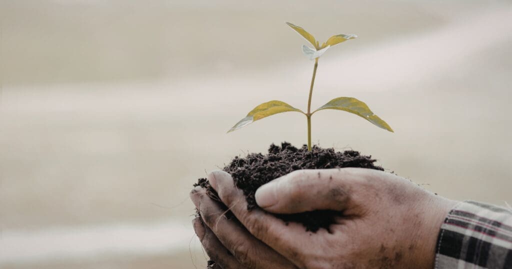 Hands holding soil with a seedling, symbolizing growth in loving communities.