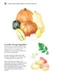 Illustration of pumpkins, squash, carrots, potatoes, and leafy greens on a white background.