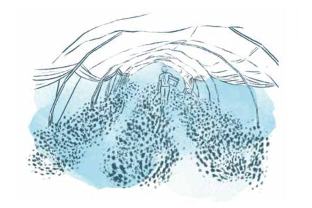 A person walks in a greenhouse tunnel, taking simple steps to build a garden.
