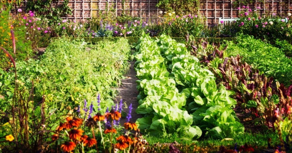 Rows of leafy vegetables and flowers thrive, guided by a thoughtful garden action plan.