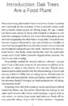 Page of text describing oak trees as a food plant, focusing on acorns and personal experience.