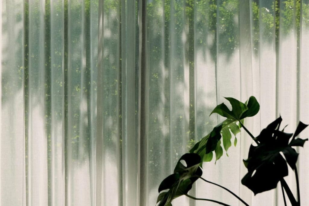 Sheer curtains with sunlight and leaf shadows, holding space like a workshop facilitator.