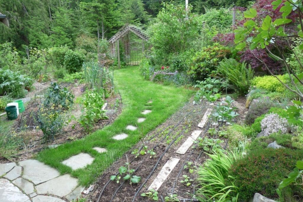 Lush Pacific Northwest garden with vegetable beds, green grass path, and a wooden arbor.