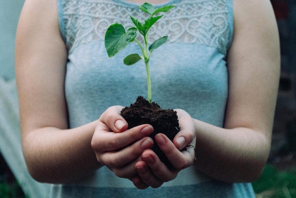 Person holding a small green plant, showcasing the vital role of soil in plant health.