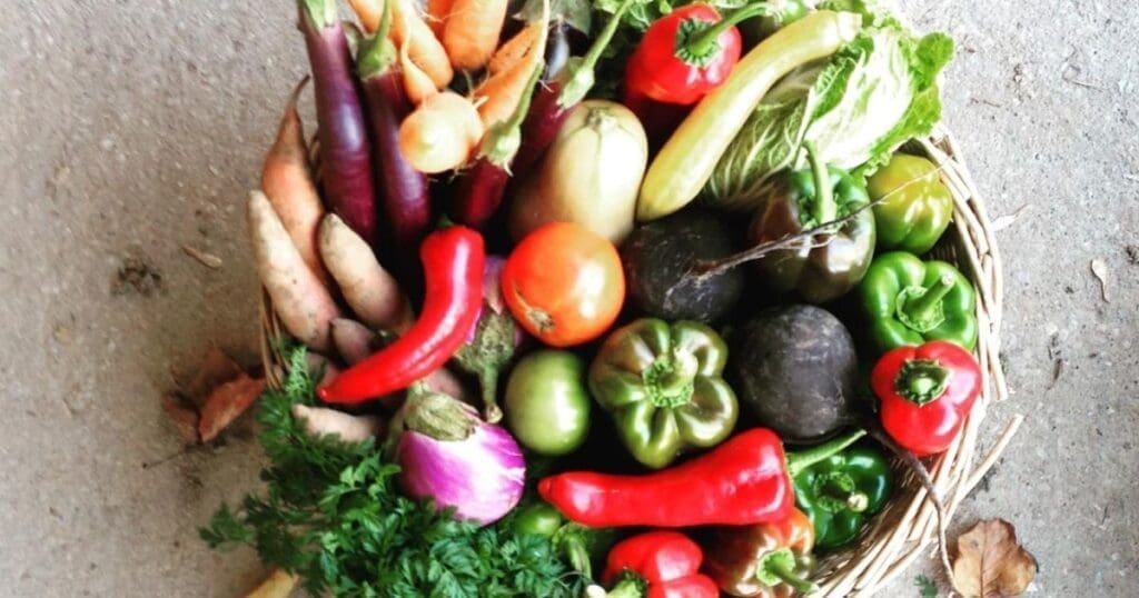 A basket of colorful fresh vegetables showcases the joy of Yard to Table Eating.